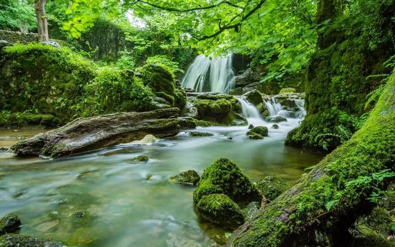 高精度独特电子